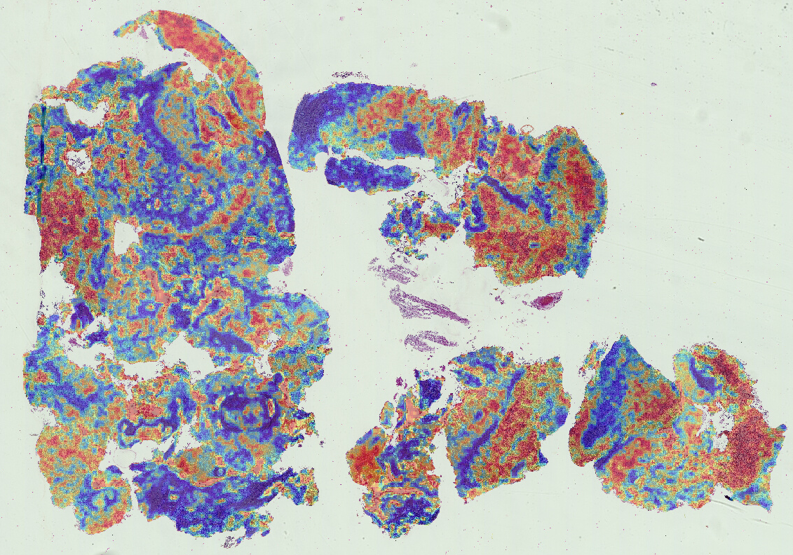 Heatmap Image